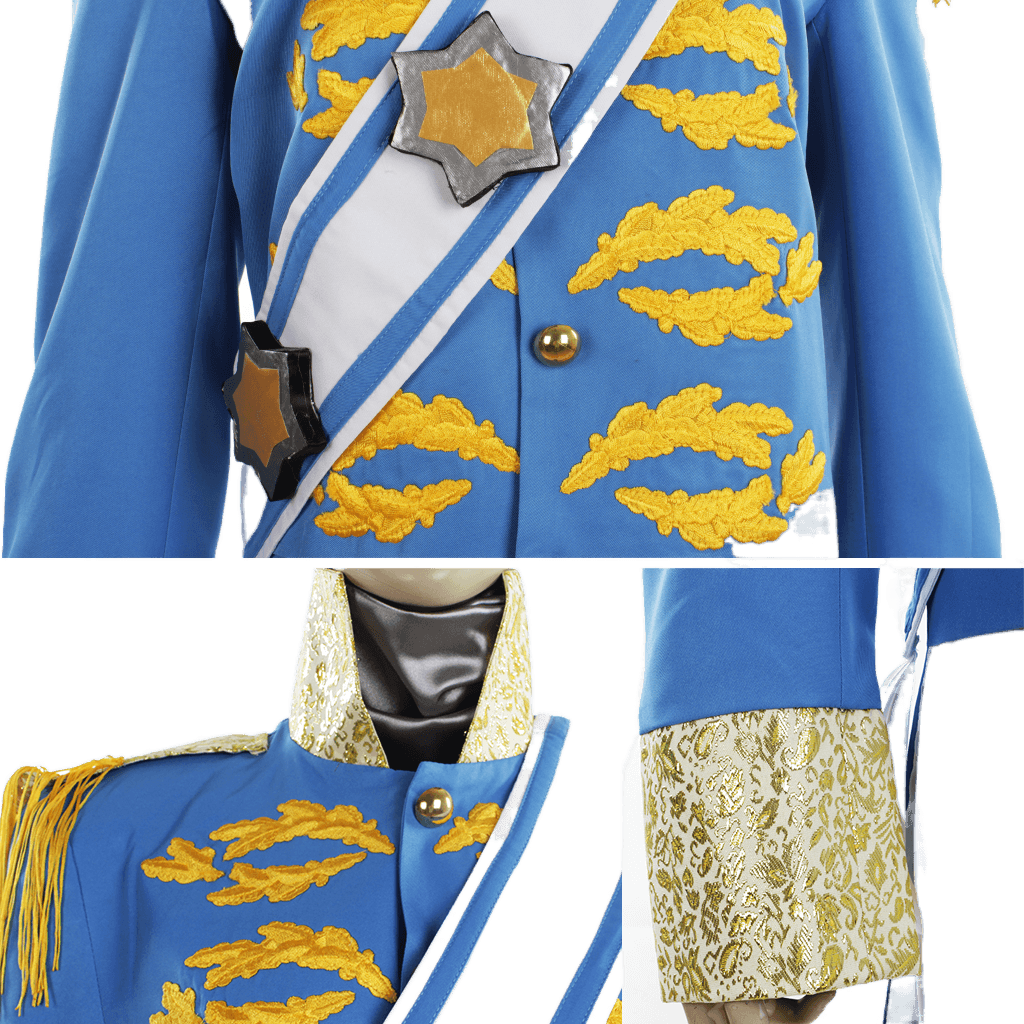 Disney Cinderella Princess, Prince, Stepmother, and Maid Cosplay Costume Series