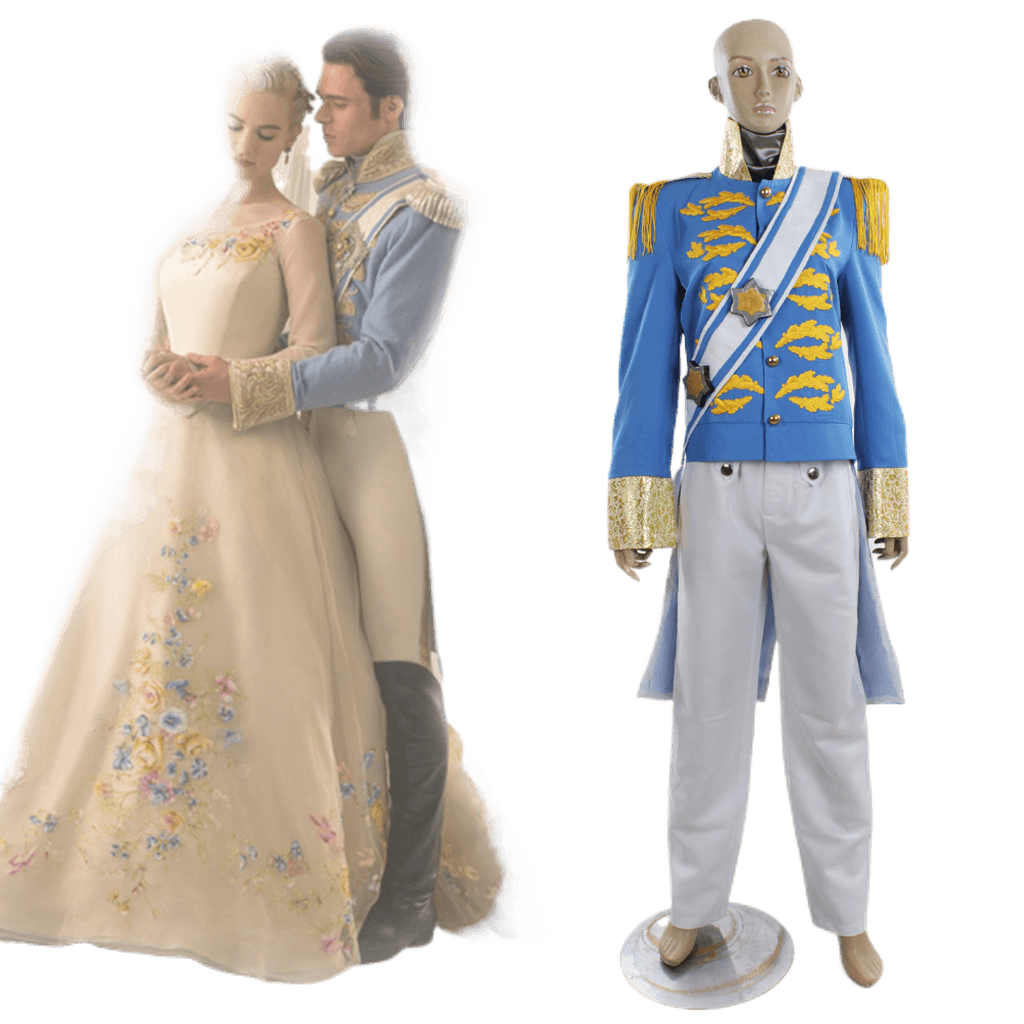 Disney Cinderella Princess, Prince, Stepmother, and Maid Cosplay Costume Series