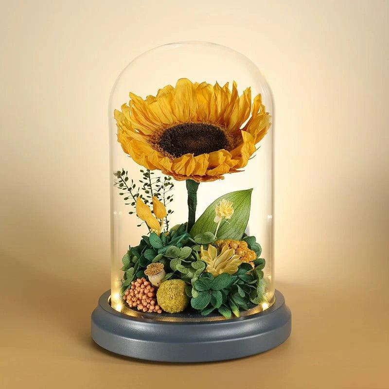 Eternal Flower Glass Dome Gift Box with Sunflowers and Roses - Coscosmos