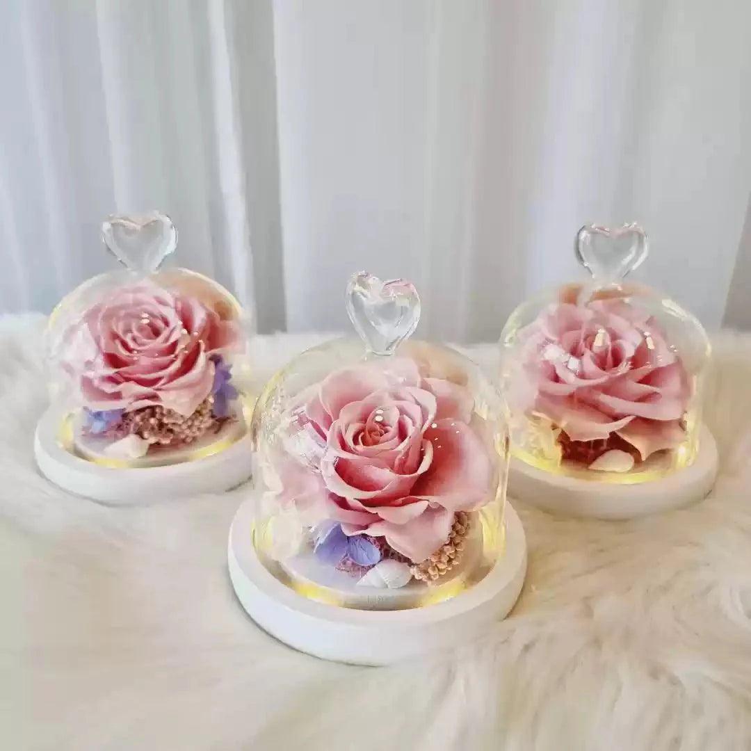 Eternal Rose Glass Dome Ornament - Perfect Gift for Teachers, Friends, Mom, or Loved Ones - Coscosmos