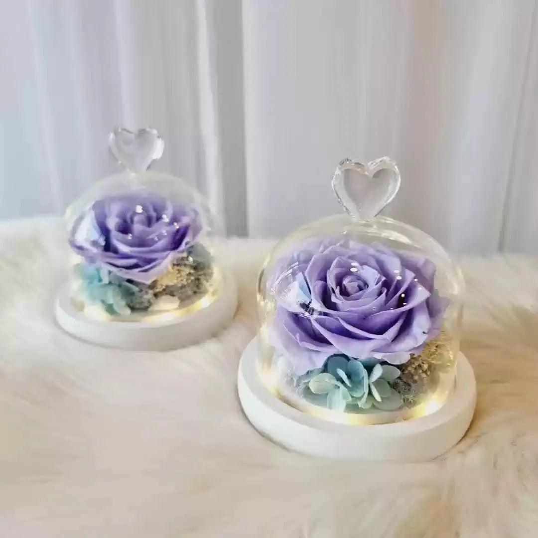 Eternal Rose Glass Dome Ornament - Perfect Gift for Teachers, Friends, Mom, or Loved Ones - Coscosmos