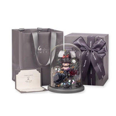 Everlasting Flower Zodiac DIMOO Christmas Gift - The Perfect Birthday Surprise for Her - Coscosmos